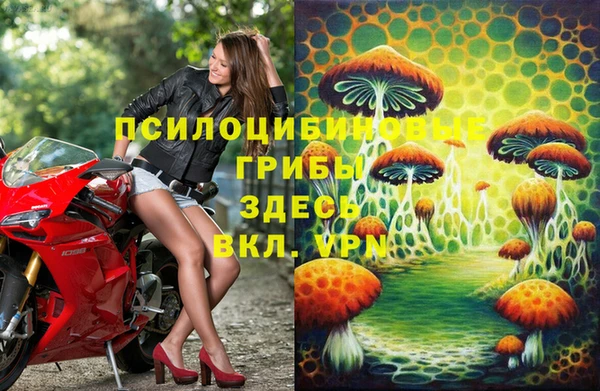 эйфоретик Армянск