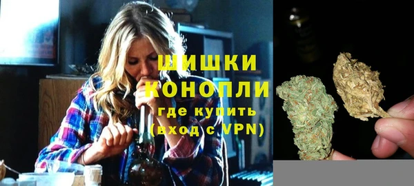 трава Аркадак