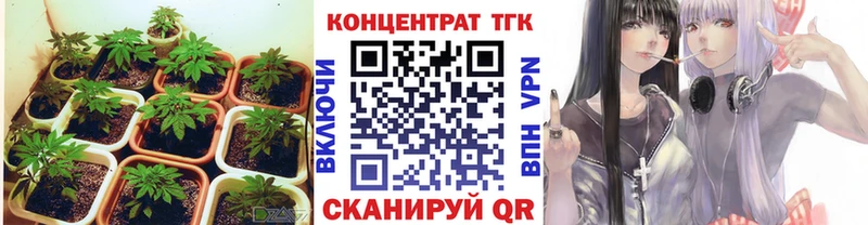 как найти наркотики Пласт Дистиллят ТГК жижа